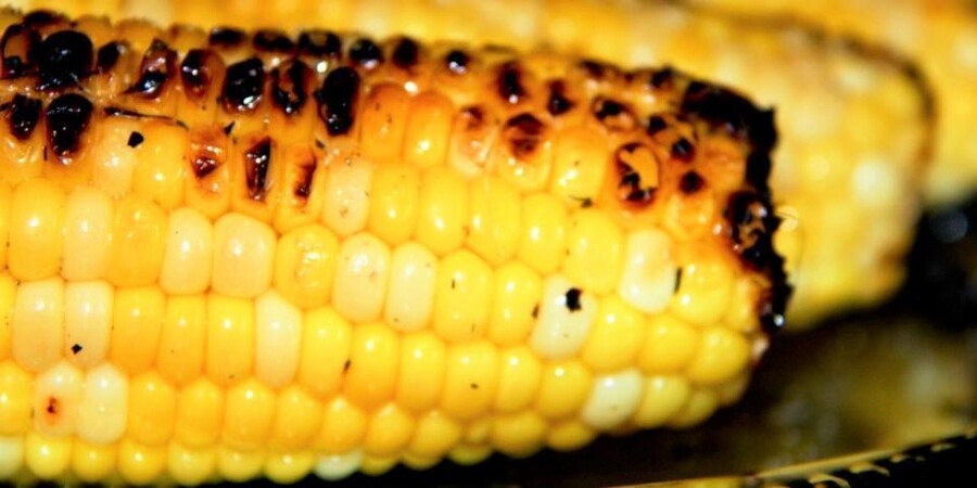 BBQ Naked Corn on The Grill 