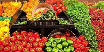 Amazon Fresh Abruptly Exits the Philadelphia Suburb