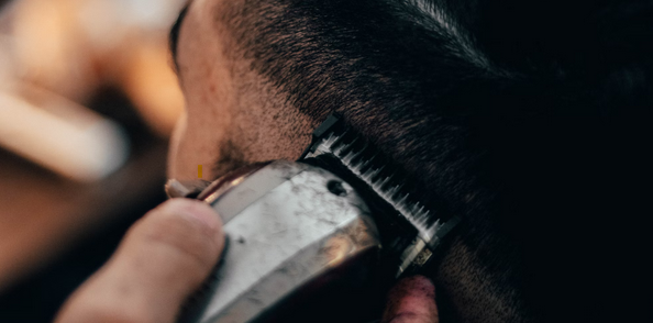  Top 7 Barber Shops in West Chester, Pennsylvania