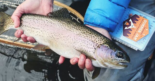 Fishing Trip