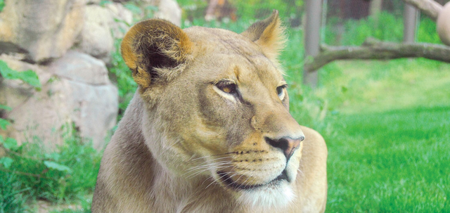 Visiting The Philadelphia Zoo in The Springtime