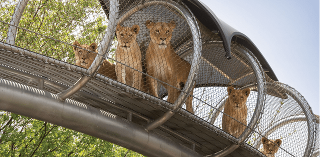 Philadelphia Zoo to Remain Open