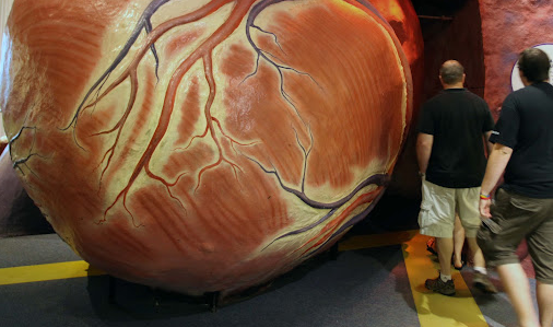 The Walk-Thru Giant Heart in Philadelphia
