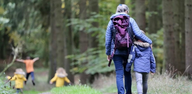 Hiking Mount Nittany Near State College