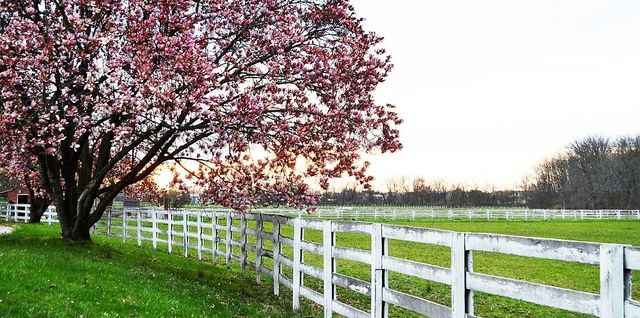 Gettysburg Historical Societies