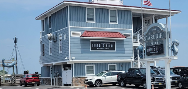 Take a Dolphin Watching Trip From The Wildwoods NJ