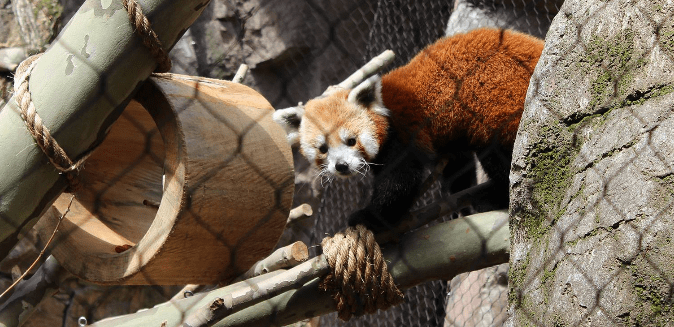 Philadelphia Zoo News and Events