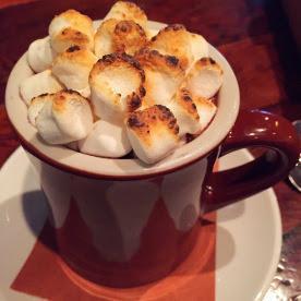 Looking for a sweet way to warm up? This January they revealed the Tria-Style Hot Cocoa. This drink is most definitely an adult beverage, the cocoa is house made from scratch and “blended” with a bold smooth malbec and served with tiny marshmallows. Yes, you heard me right-it’s hot cocoa made with red wine.