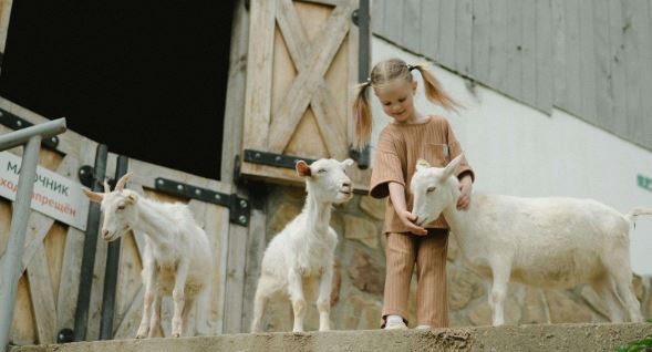 3 Perfect Day Trip Destinations Around Philadelphia