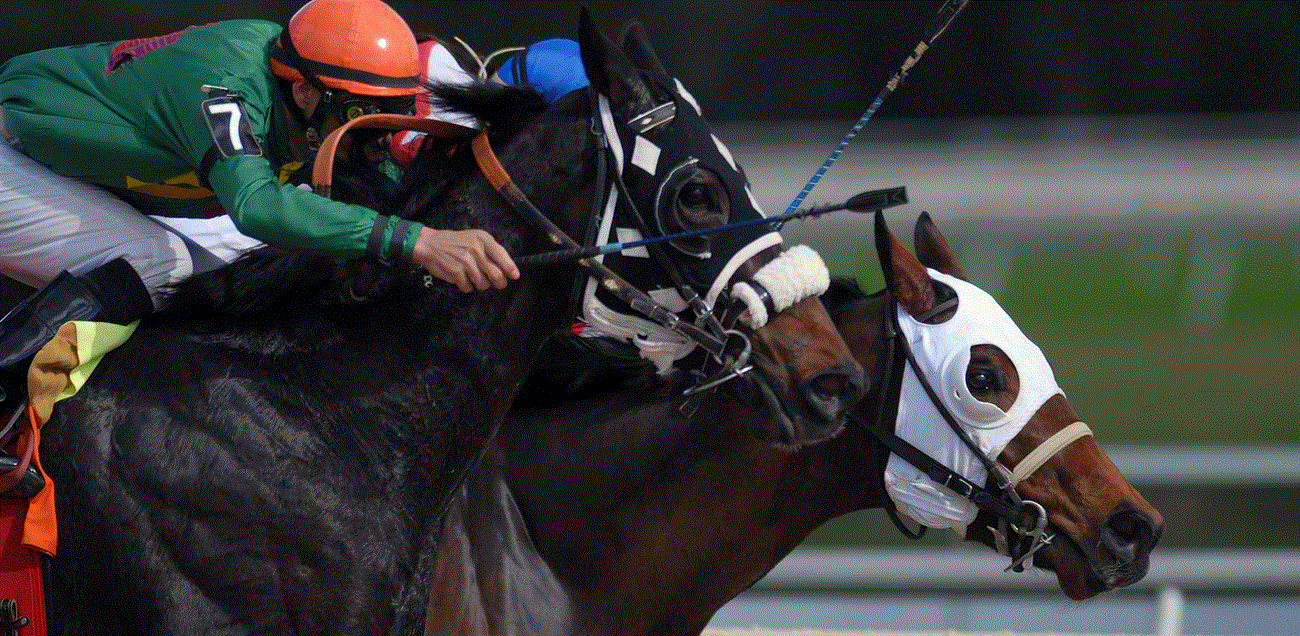 Best 2022 Kentucky Derby Horses To Watch