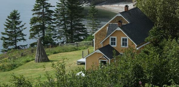 How to Determine the Best Waterproofing Material for Your Needs