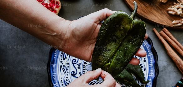 9 Best Chile Rellenos Spots in Philadelphia