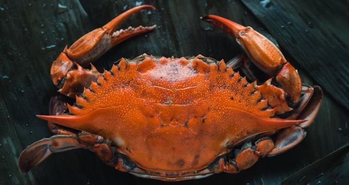 5 Best Spots For Crab Bisque in The State of Maryland