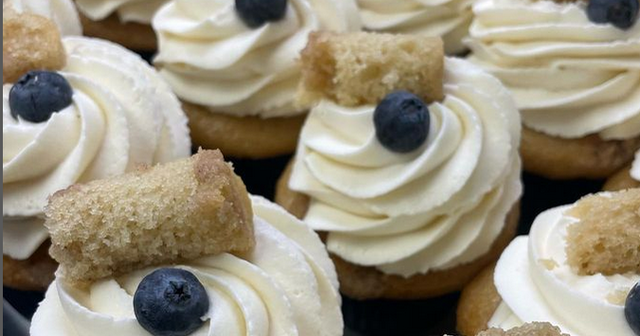 Must-Try Cupcakes in Bucks County, PA