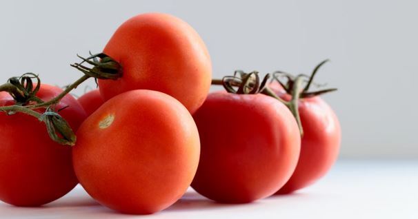 Best Bars and Restaurants in Philadelphia Featuring Tomatoes