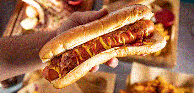 Best Hot Dog in America