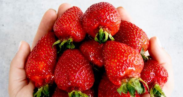 Keeping Your Strawberries Fresh: Washing and Storing Tips
