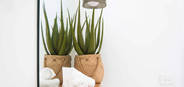 Aloe Vera Products for Redness-Prone and Sensitive Skin that You Need to Try