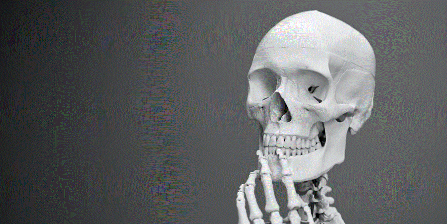 Medical Museums in Philadelphia