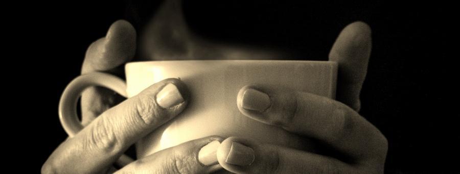 Guide to Tea Cupping And Why Is Important