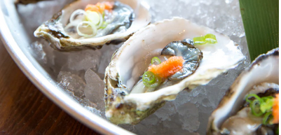 The 10 BestWhere to Eat Dollar Oysters in Philadelphia