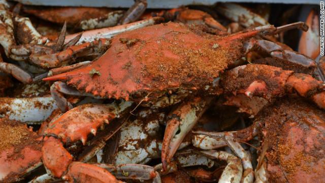 Best Seafood Restaurants in Virginia