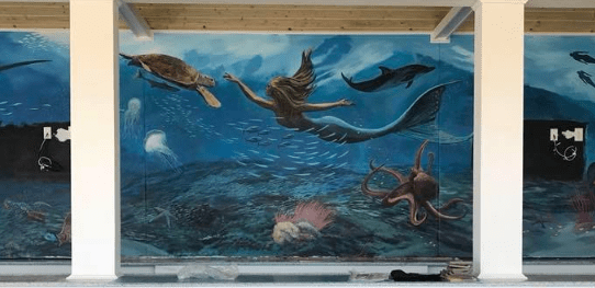The Salty Mermaid North Wildwood