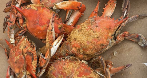 Mickey's Family Crab House Review