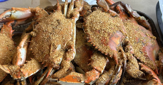 The Surfing Crab: Heavy Steamed Crabs in Lewes, DE 