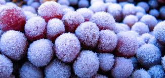 Pennsylvania Ice Wine 