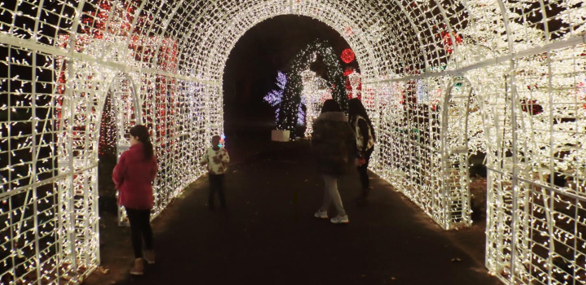 Holiday Light Shows in and Around Philadelphia