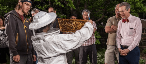 Philadelphia Honey Festival at Glen Foerd on the Delaware