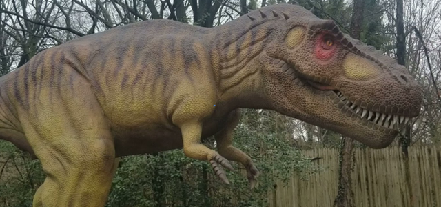 Friday Night Craft Beer and Dinosaurs at The Philadelphia Zoo