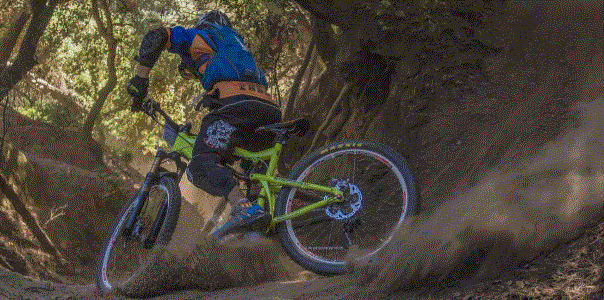 Sizing and Fitting Guide for the Best Mountain Bike Purchase