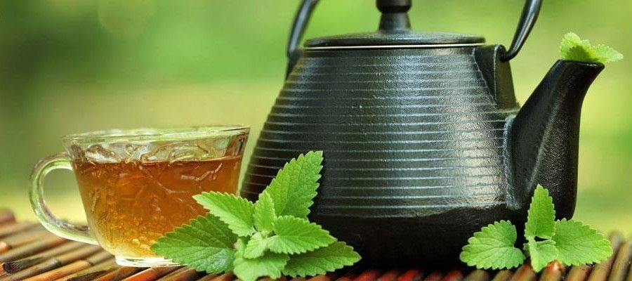 is green tea good for you