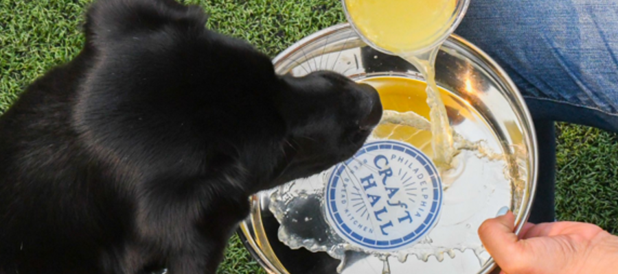 Philly's Only Dog Park & Beer Garden at Craft Hall