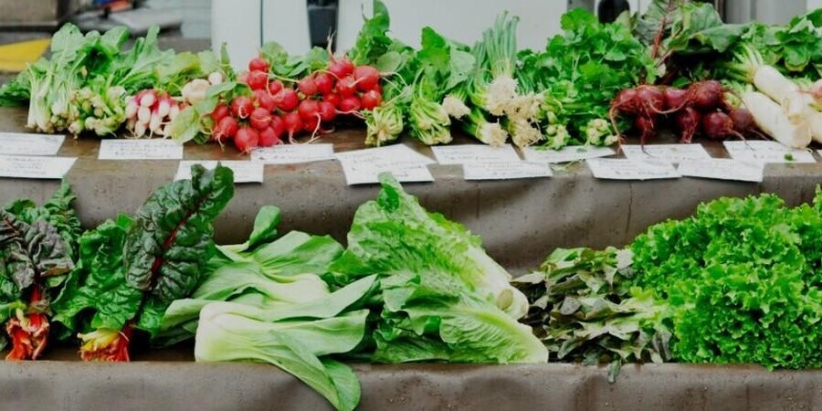  West Chester Growers Market