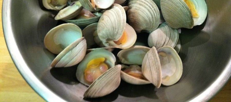 Seafood Cooking 101: Clams From The Chef