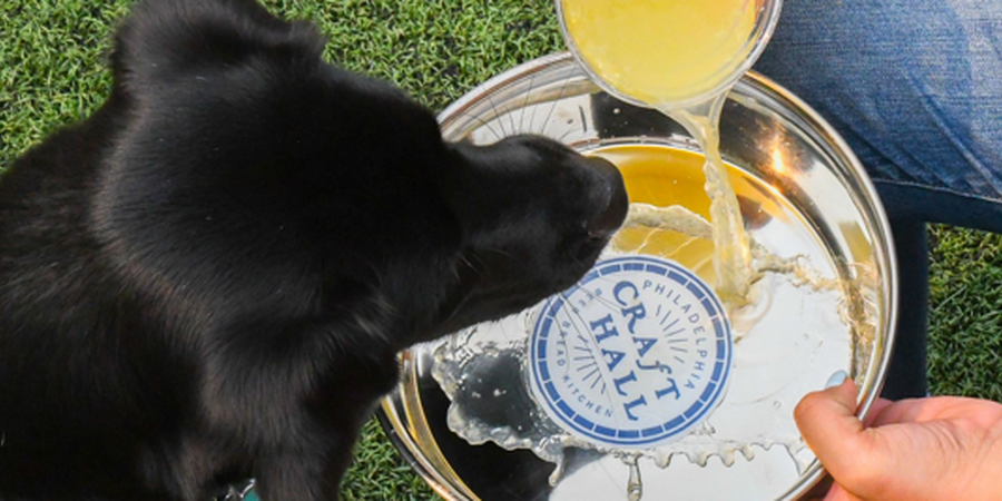 Philly's Only Dog Park & Beer Garden at Craft Hall