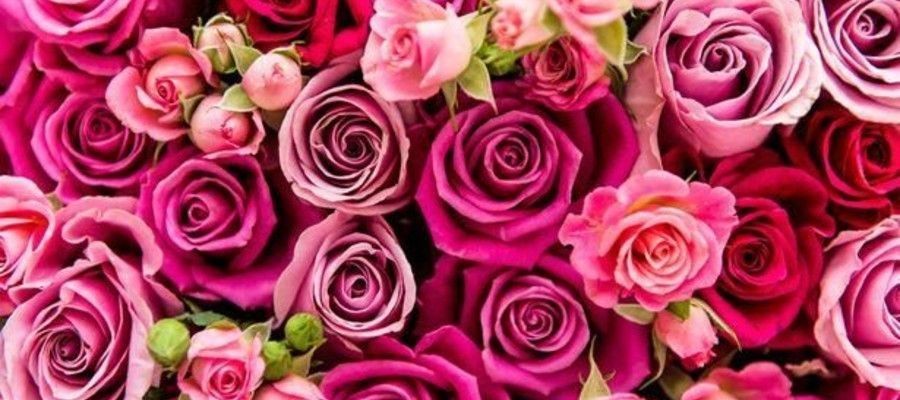 Philadelphia: Valentine Day Flowers Deals