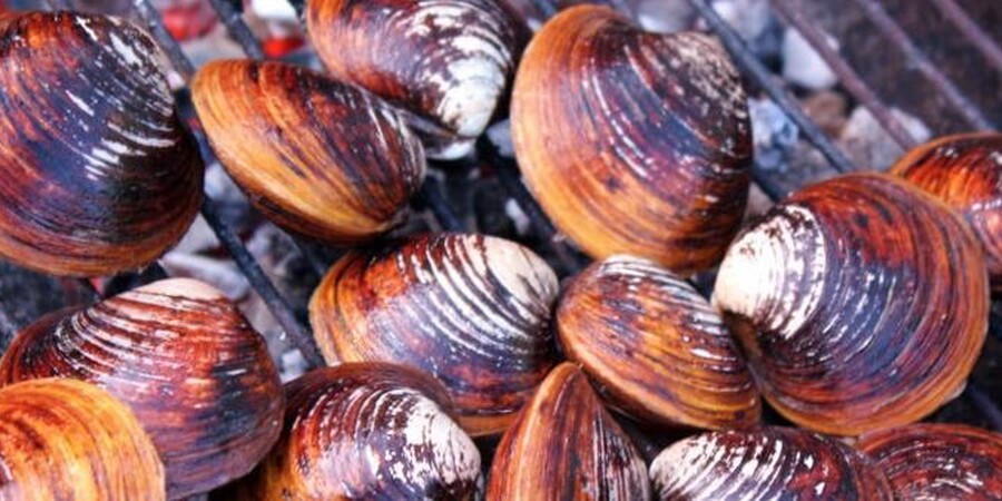 BBQ Clams and Mussels Grilled On The Barbecue