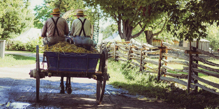 Pennsylvania Amish Culture and History