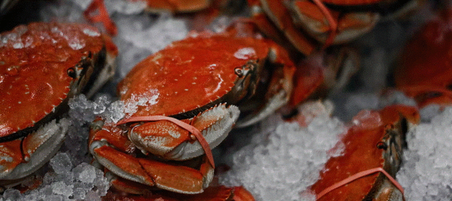 Five of the Best Seafood Restaurants in Delaware