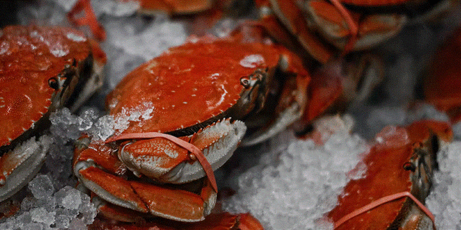 5 Best Seafood Markets in Philadelphia