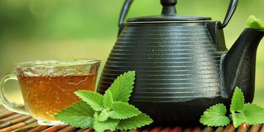 is green tea good for you