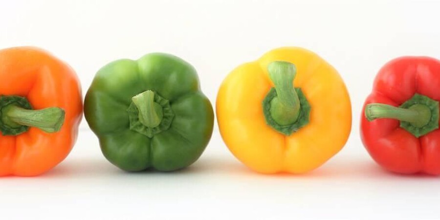 Recipe 101: Easy to Make Stuffed Peppers