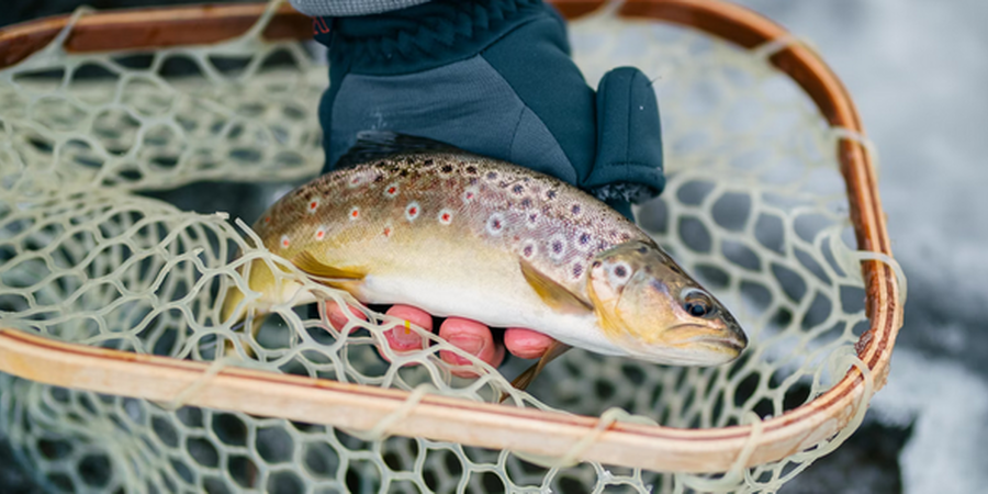 Top 10 Pennsylvania Fishing Spots