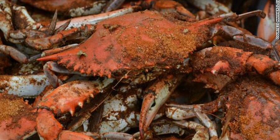 Maryland Steamed Crabs