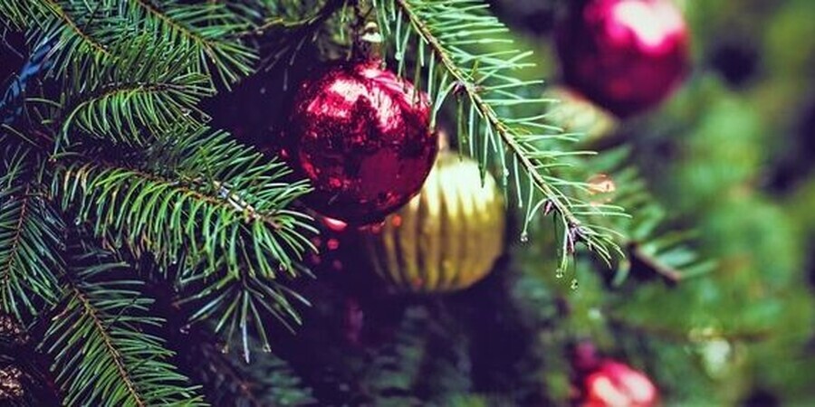  Philadelphia's Christmas Tree Recycling Program 