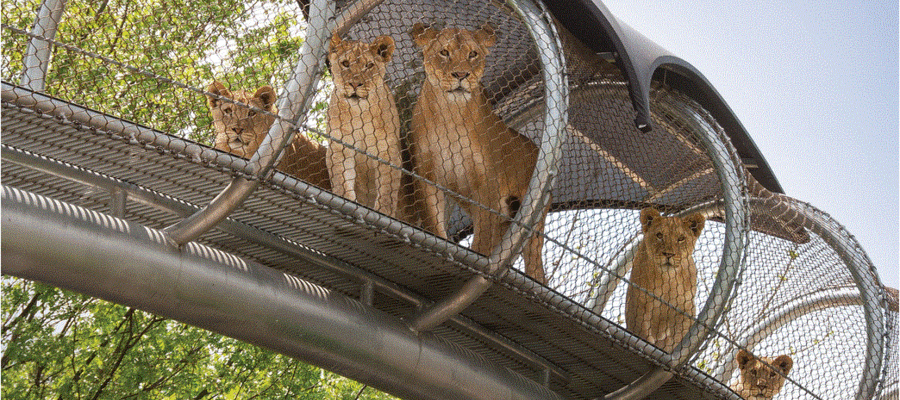Philadelphia Zoo to Host Inaugural Zoo-a-Thon